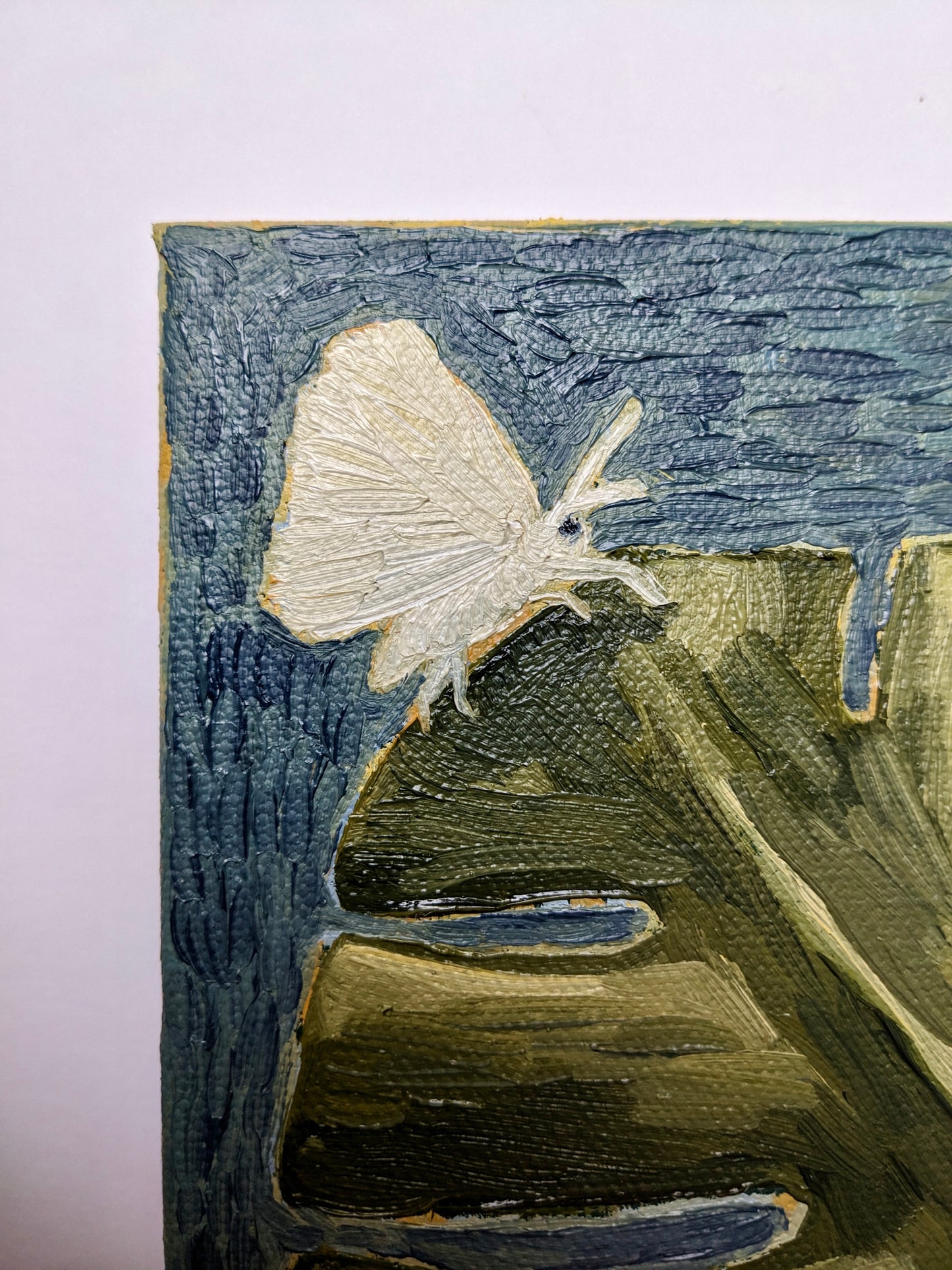 “Monstera Moths” - 4x4 Original Oil Painting