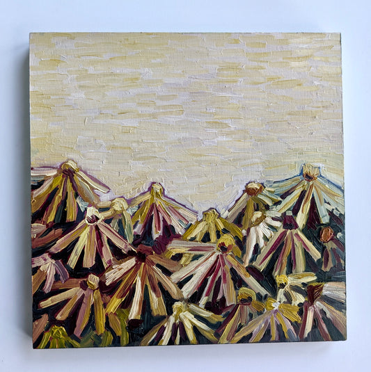 “Grey Day Daisies” - 8x8 Original Oil Paint