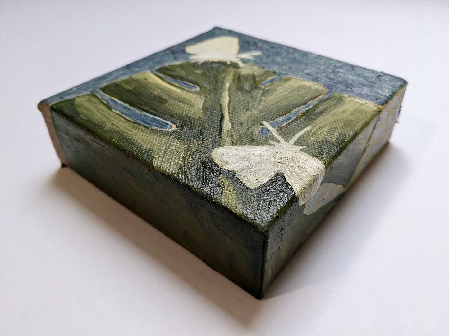 “Monstera Moths” - 4x4 Original Oil Painting