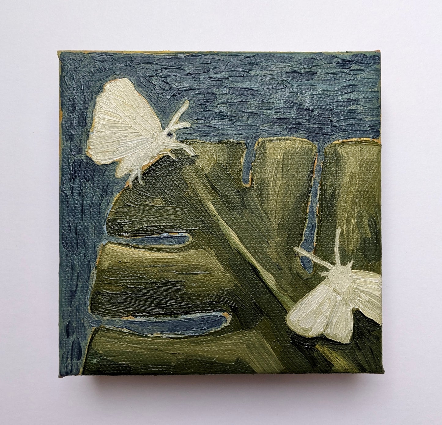 “Monstera Moths” - 4x4 Original Oil Painting