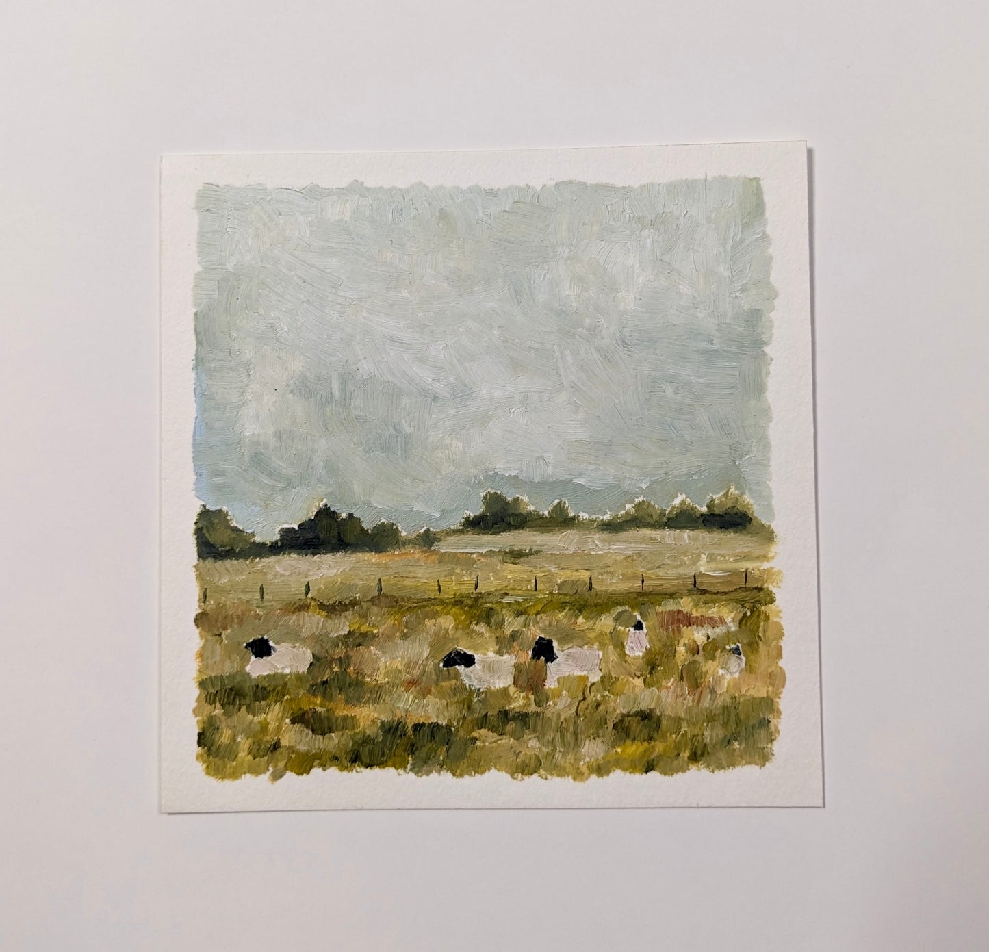 “Watching Sheep” - 5x5 Original Oil Paint