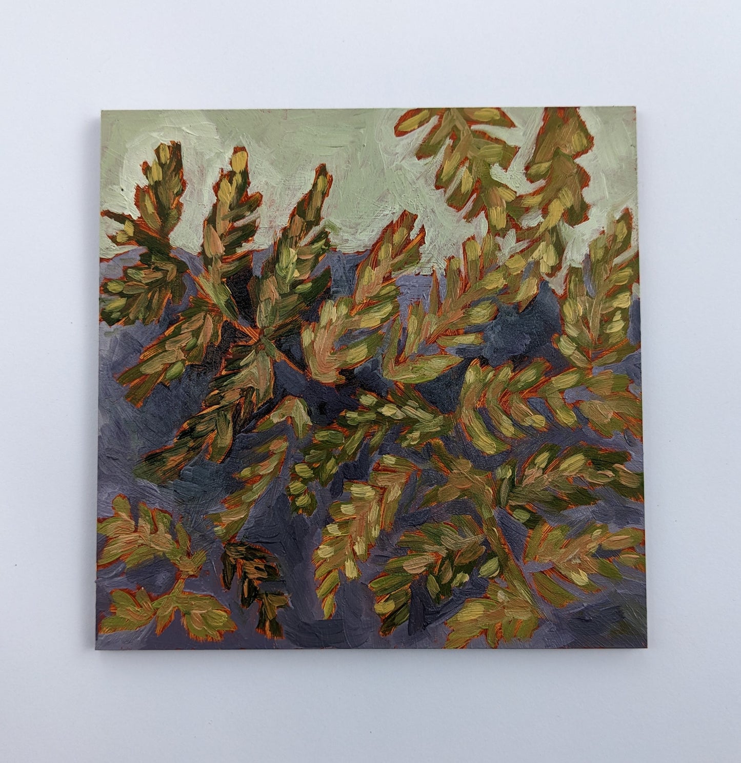 “Meadows of Ferns” - 5x5 Original Oil Painting