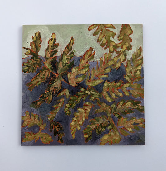 “Meadows of Ferns” - 5x5 Original Oil Painting