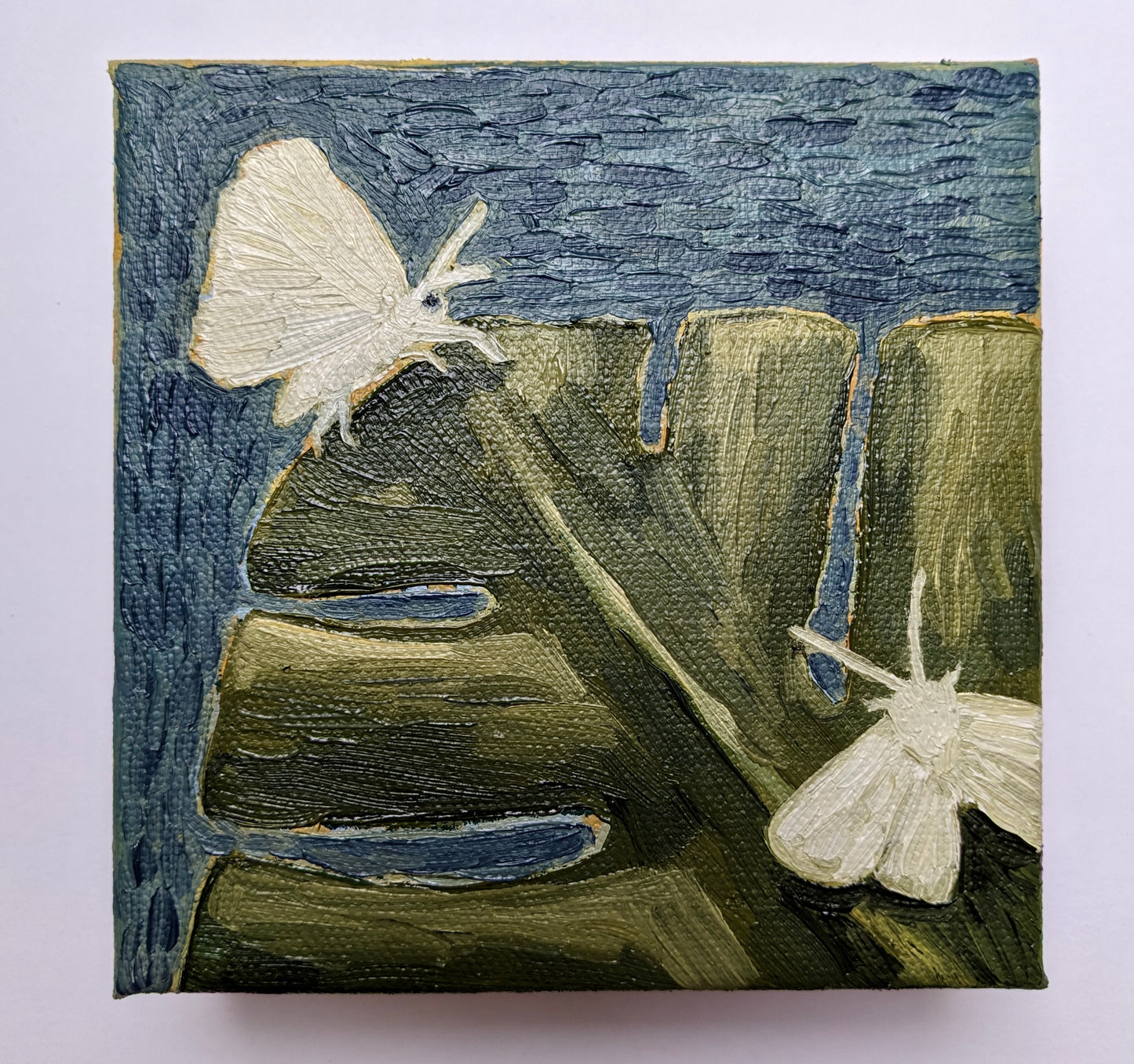 “Monstera Moths” - 4x4 Original Oil Painting
