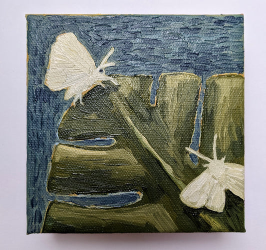 “Monstera Moths” - 4x4 Original Oil Painting