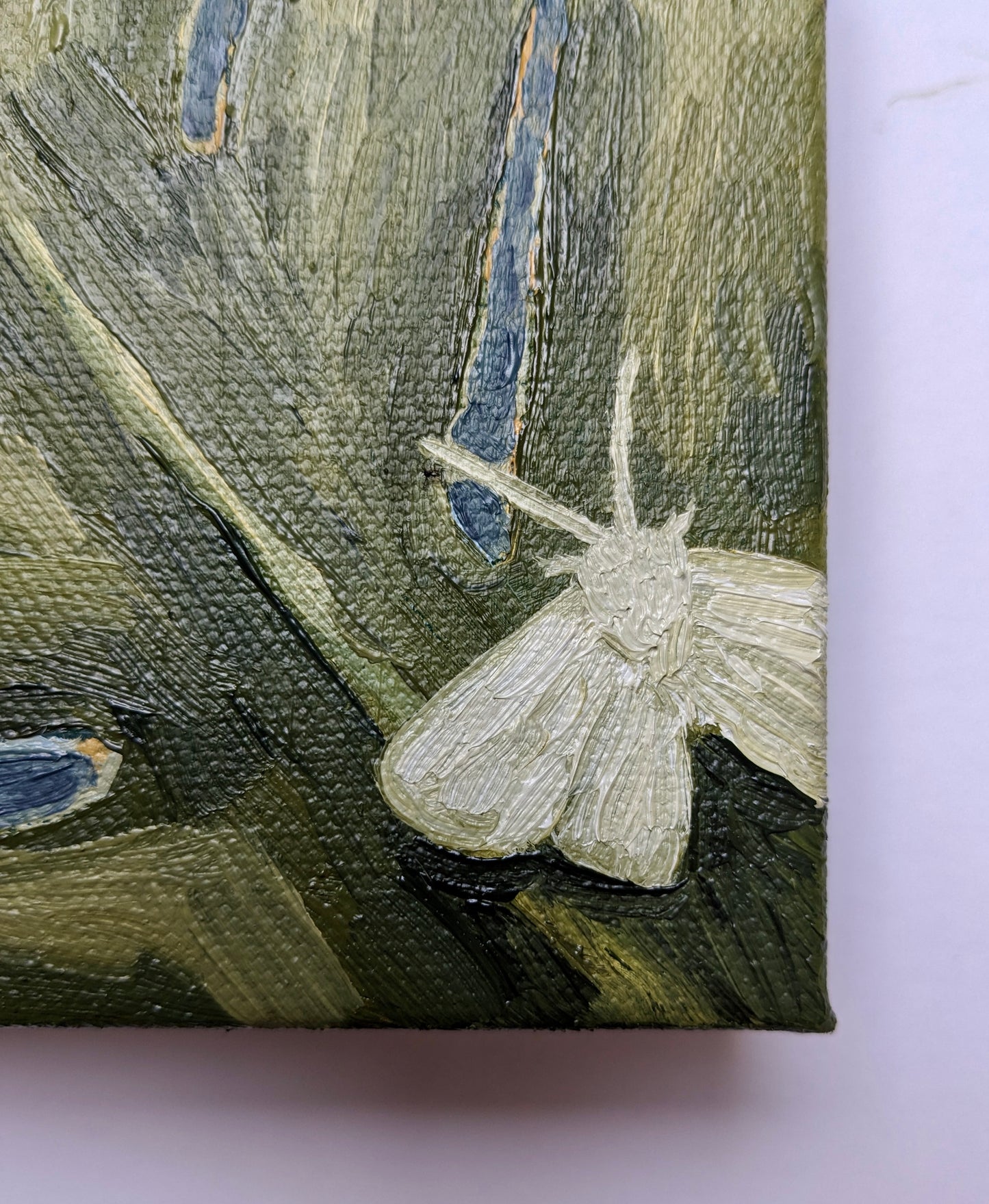 “Monstera Moths” - 4x4 Original Oil Painting