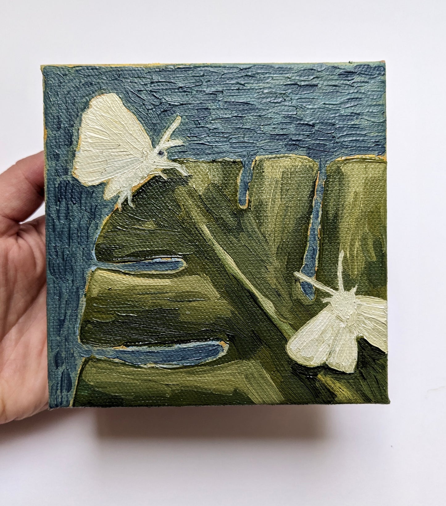 “Monstera Moths” - 4x4 Original Oil Painting