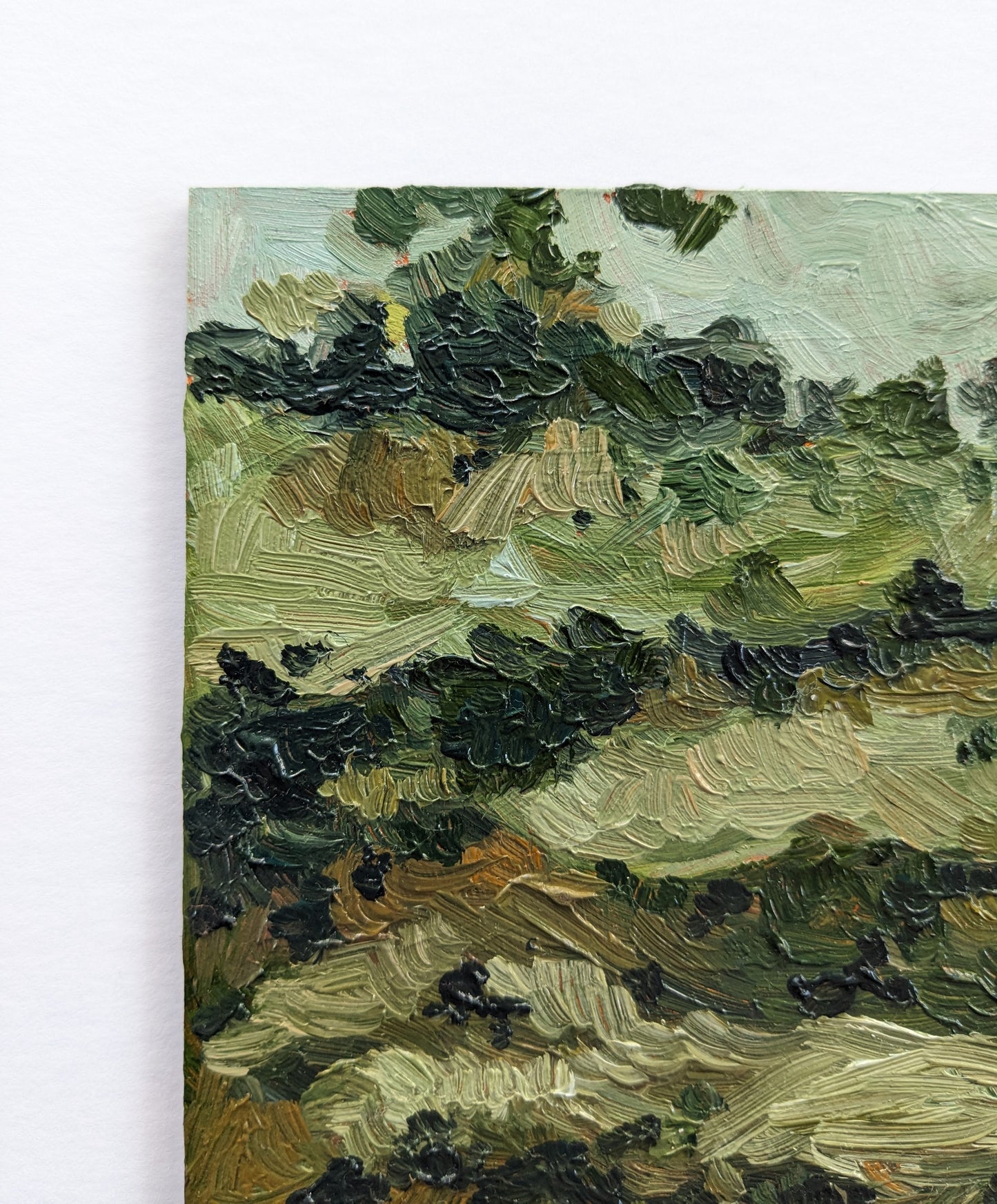 “Grassy Knoll” - 5x5 Original Oil Painting