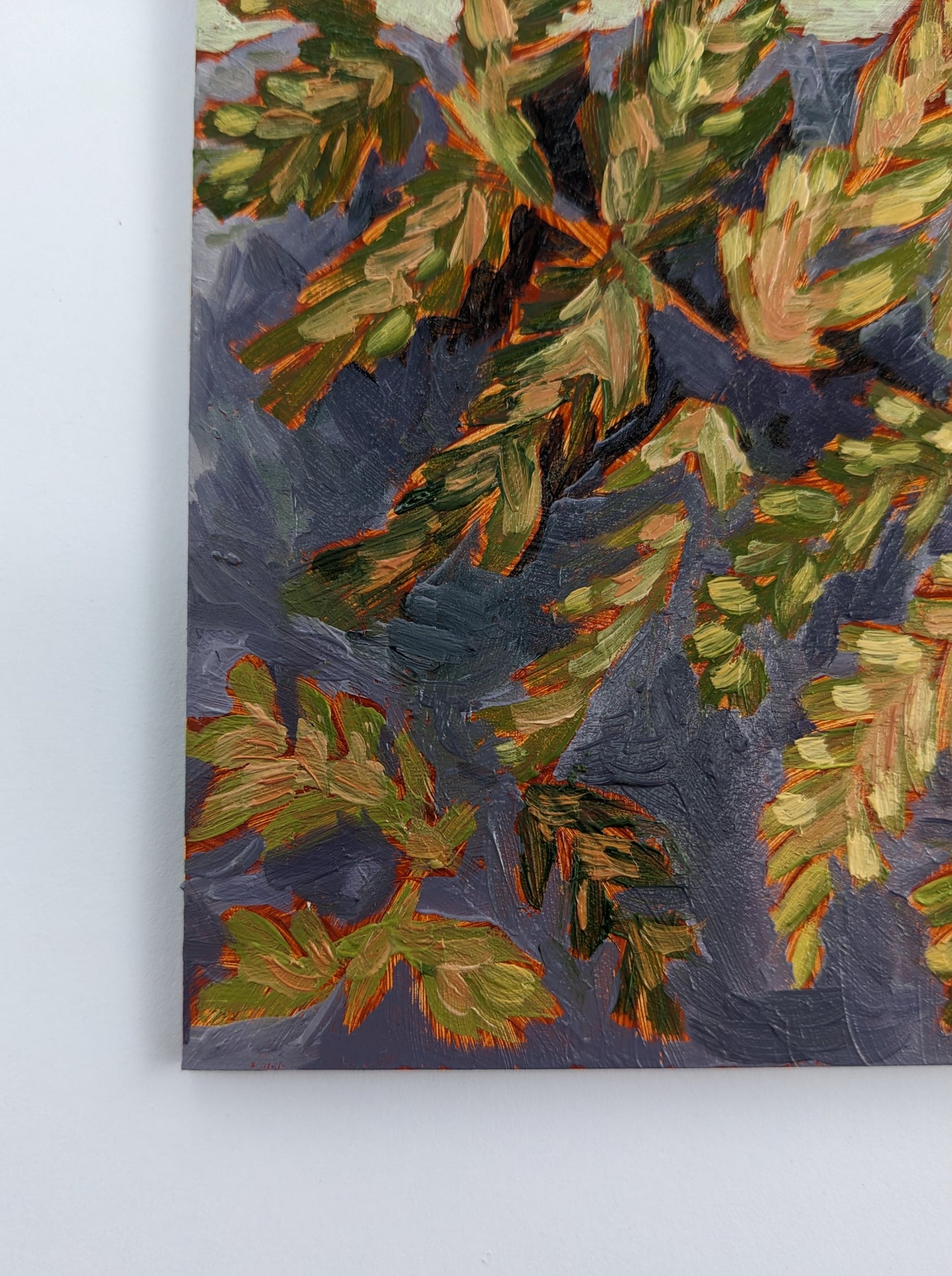 “Meadows of Ferns” - 5x5 Original Oil Painting