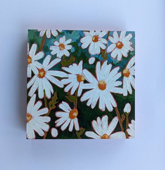 "Comfort Daisies" - 5x5 Original Acrylic Painting