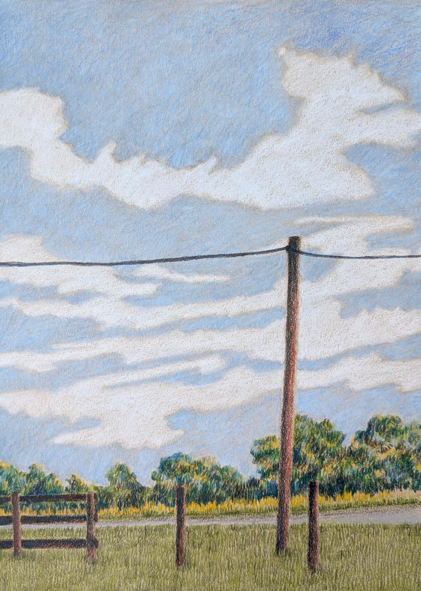 “Lumpy bumpy pasture” - colored pencils