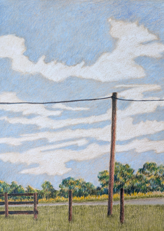 “Lumpy bumpy pasture” - colored pencils