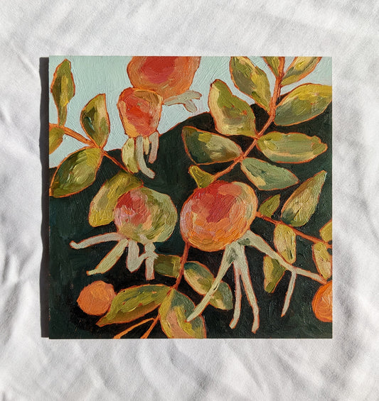 “Rugosa Rose Hips” - 6x6 Original Oil Painting